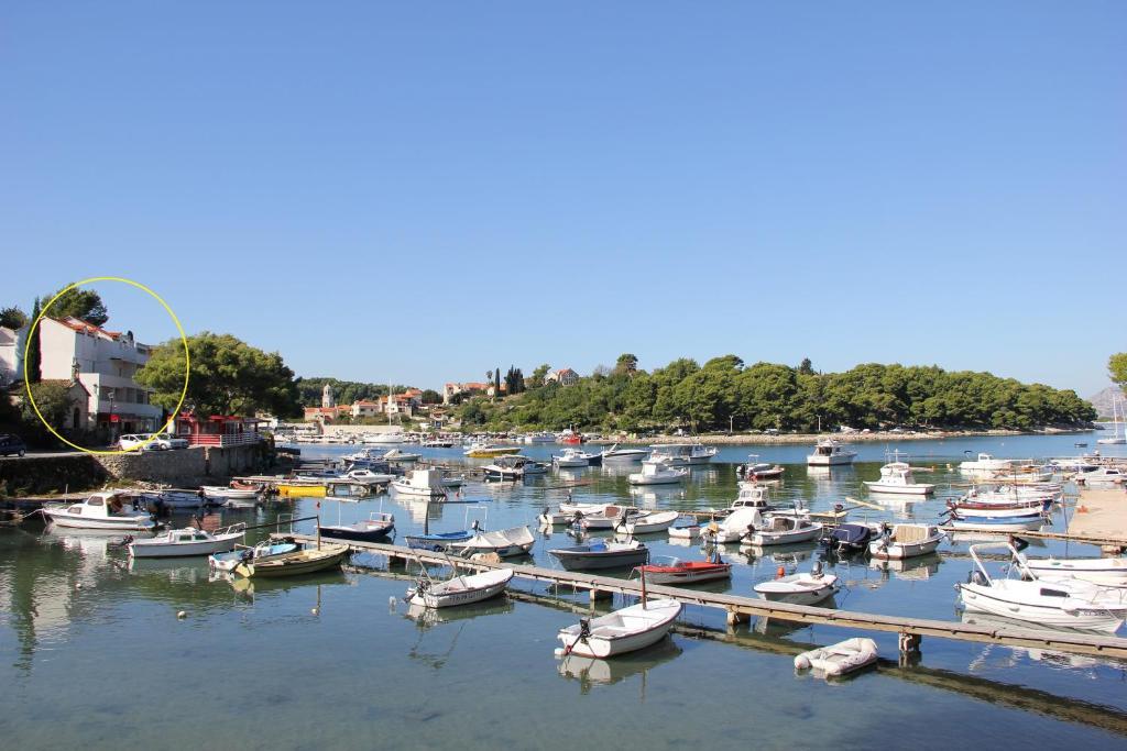Vanda Seafront Superior Cavtat Εξωτερικό φωτογραφία